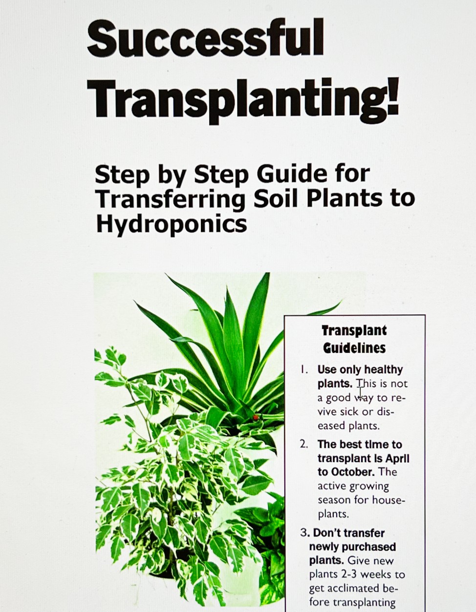 transplanting